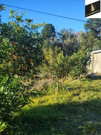Imagem Imóvel com 4 Quartos à Venda, 29.000 m² em área Rural (areia Branca Dos Assis) - Mandirituba Imagem Imóvel com 4 Quartos à Venda, 29.000 m² em área Rural (areia Branca Dos Assis) - Mandirituba