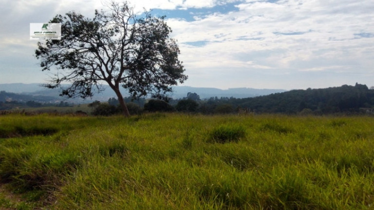 Imagem Terreno à Venda, 235.000 m² em Sorocamirim - São Roque Imagem Terreno à Venda, 235.000 m² em Sorocamirim - São Roque