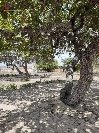 Imagem Fazenda à Venda, 50.000 m² em Centro - João Câmara Imagem Fazenda à Venda, 50.000 m² em Centro - João Câmara
