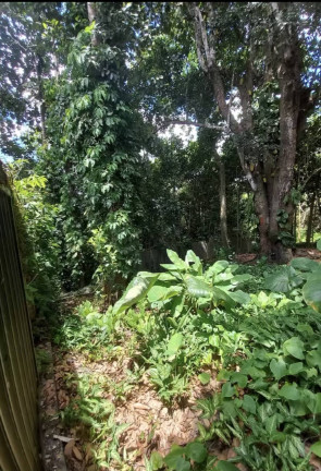Imagem Terreno à Venda, 5 m² em Aldeia Dos Camarás - Camaragibe Imagem Terreno à Venda, 5 m² em Aldeia Dos Camarás - Camaragibe