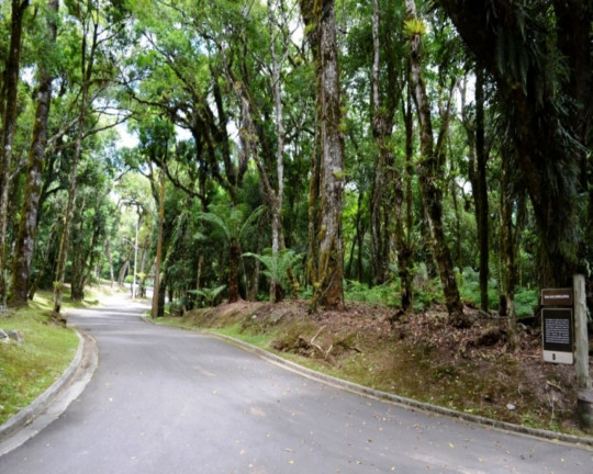 Imagem Imóvel à Venda, 1.657 m² em Vila Moura - Gramado