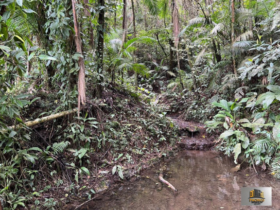 Imagem Imóvel com 7 Quartos à Venda, 242.000 m² em Pocinho - São Lourenço Da Serra