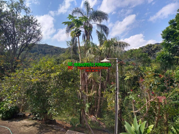 Imagem Chácara com 3 Quartos à Venda, 9.000 m² em São Francisco Xavier - São José Dos Campos
