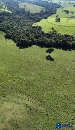 Imagem Fazenda à Venda, 34 m² em Zona Rural - Anicuns Imagem Fazenda à Venda, 34 m² em Zona Rural - Anicuns