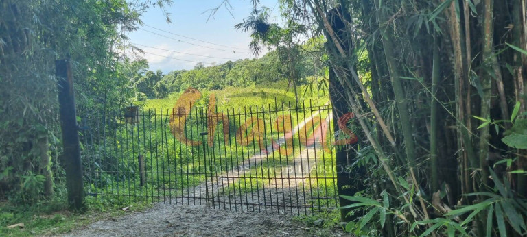 Terreno à Venda, 3.696 m² em Barranco Alto - Caraguatatuba