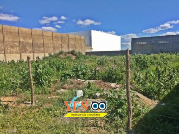 Imagem Terreno à Venda, 1.200 m² em Sim - Feira De Santana Imagem Terreno à Venda, 1.200 m² em Sim - Feira De Santana