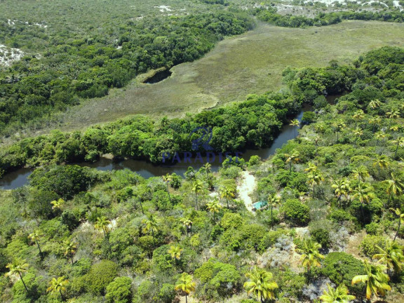 Imagem Terreno à Venda, 6.000 m² em Diogo - Mata De São João Imagem Terreno à Venda, 6.000 m² em Diogo - Mata De São João