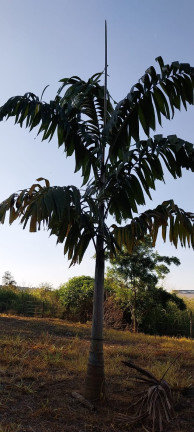 Imagem Terreno à Venda, 1.000 m² em Da Barra - Salto De Pirapora Imagem Terreno à Venda, 1.000 m² em Da Barra - Salto De Pirapora