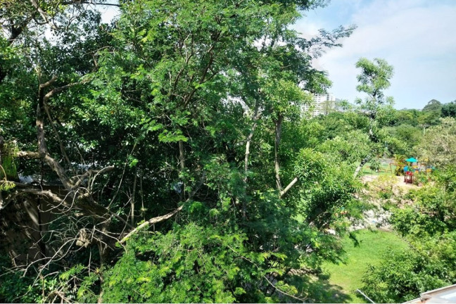Imagem Casa de Condomínio com 3 Quartos à Venda, 104 m² em Morro Santana - Porto Alegre