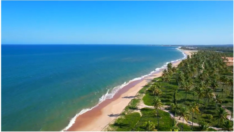 Imagem Terreno à Venda, 700 m² em Praia Do Forte - Mata De São João Imagem Terreno à Venda, 700 m² em Praia Do Forte - Mata De São João