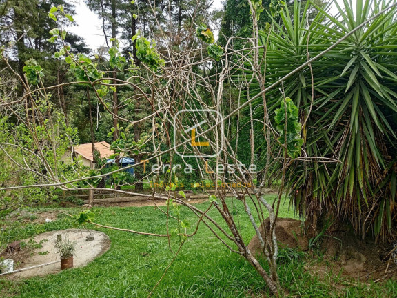 Imagem Casa com 3 Quartos à Venda, 150 m² em Carneiros - Brumadinho