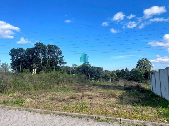Terreno à Venda, 497 m² em Santo Antão - Bento Gonçalves