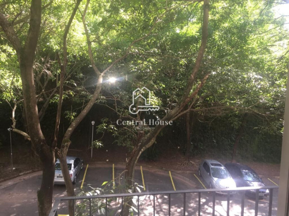 Imagem Apartamento com 3 Quartos para Alugar, 75 m² em Vila Suzana - São Paulo Imagem Apartamento com 3 Quartos para Alugar, 75 m² em Vila Suzana - São Paulo