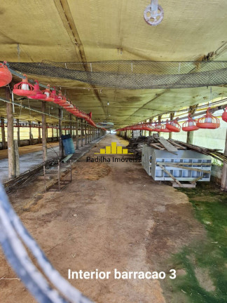 Chácara à Venda, 48.000 m² em Turvo Rodrigues - Itapetininga
