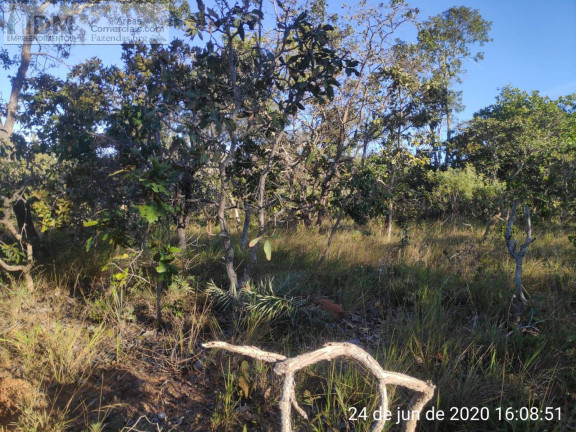 Imagem Chácara à Venda, 49.500.000 m² em Centro - Buritizeiro Imagem Chácara à Venda, 49.500.000 m² em Centro - Buritizeiro