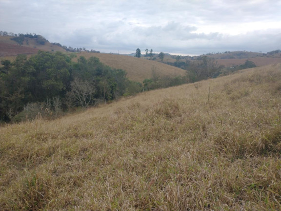 Imagem Chácara à Venda, 20.000 m² em Rio Pardo - Caldas Imagem Chácara à Venda, 20.000 m² em Rio Pardo - Caldas