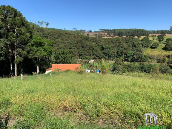 Imagem Imóvel com 4 Quartos à Venda, 6.000 m² em Pitangueiras - Pedra Bela