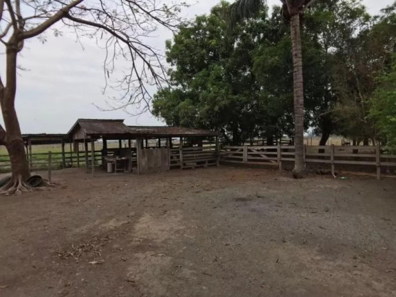Imagem Fazenda à Venda, 1 m² em Zona Rural - Sinop Imagem Fazenda à Venda, 1 m² em Zona Rural - Sinop