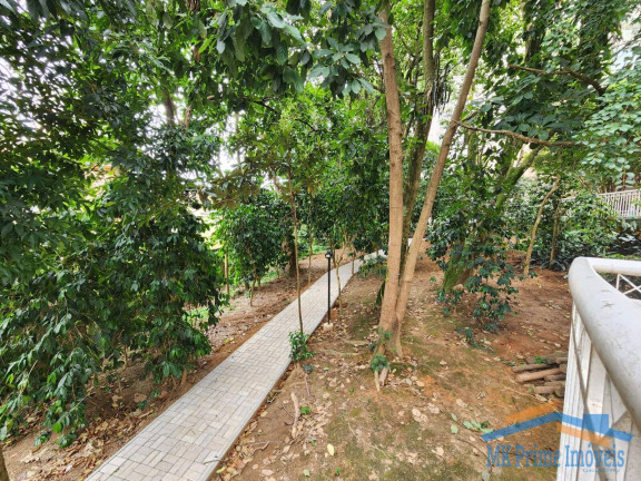 Imagem Apartamento com 3 Quartos à Venda, 110 m² em Jardim Arpoador - São Paulo