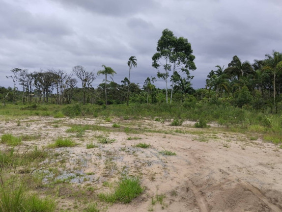 Imagem Chácara à Venda, 5.900 m² em Pinheiros - Balneário Barra Do Sul Imagem Chácara à Venda, 5.900 m² em Pinheiros - Balneário Barra Do Sul