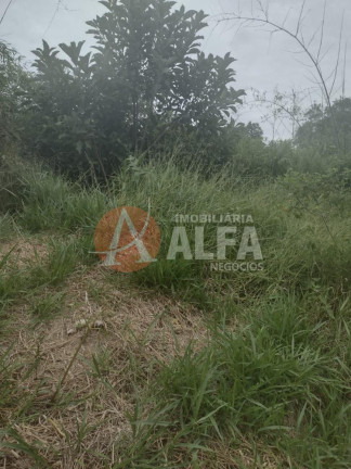 Imagem Terreno à Venda, 550 m² em Terras De São Felipe (caucaia Do Alto) - Cotia Imagem Terreno à Venda, 550 m² em Terras De São Felipe (caucaia Do Alto) - Cotia