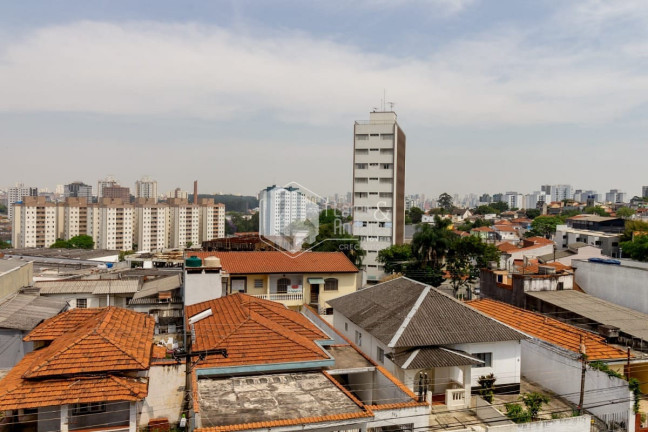 Imagem Apartamento com 3 Quartos à Venda, 90 m² em Vila Bela - São Paulo Imagem Apartamento com 3 Quartos à Venda, 90 m² em Vila Bela - São Paulo