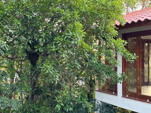Imagem Casa com 3 Quartos para Alugar, 450 m² em Santo Inácio - Santa Cruz Do Sul Imagem Casa com 3 Quartos para Alugar, 450 m² em Santo Inácio - Santa Cruz Do Sul