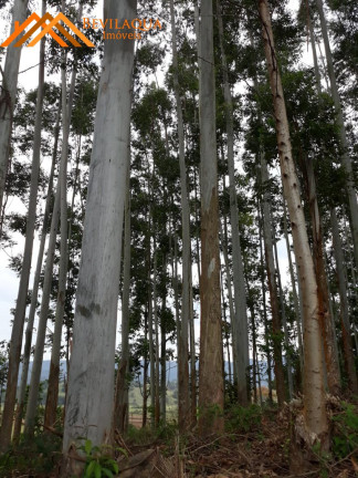 Imagem Terreno à Venda, 6 m² em Costa De Baixo - Imarui Imagem Terreno à Venda, 6 m² em Costa De Baixo - Imarui