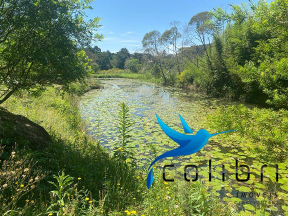 Imagem Chácara com 6 Quartos à Venda, 34.000 m² em Leão - Agudos Do Sul