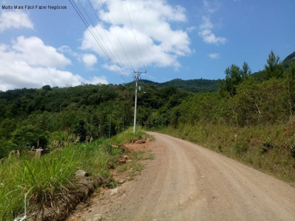 Imagem Terreno à Venda, 3 m² em Linha Pirajá Baixa - Nova Petrópolis