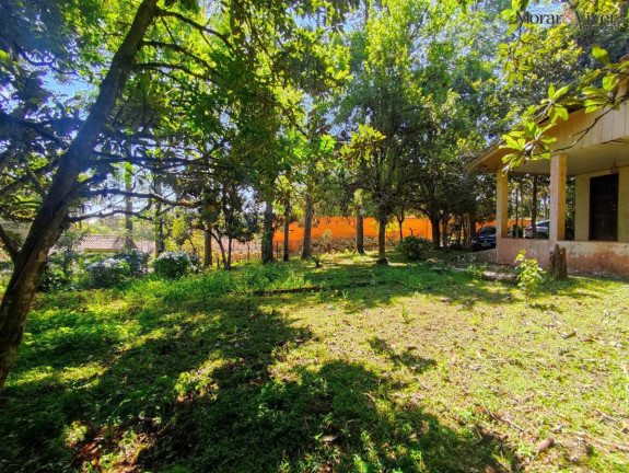 Imagem Chácara à Venda, 6.000 m² em Loteamento Chácara Chantecler - Piraquara Imagem Chácara à Venda, 6.000 m² em Loteamento Chácara Chantecler - Piraquara