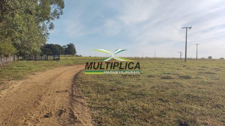 Imagem Fazenda à Venda, 38 m² em Uberaba Imagem Fazenda à Venda, 38 m² em Uberaba