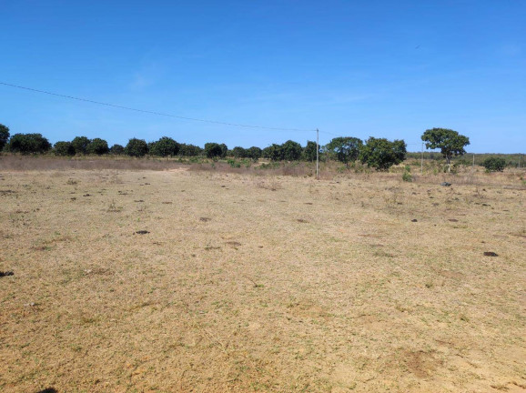 Imagem Fazenda à Venda, em Nossa Senhora Do Livramento Imagem Fazenda à Venda, em Nossa Senhora Do Livramento