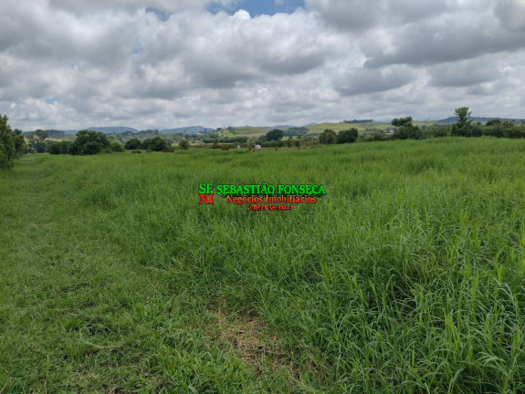 Imagem Chácara à Venda, 12 m² em Chácara Marambaia - Caçapava Imagem Chácara à Venda, 12 m² em Chácara Marambaia - Caçapava