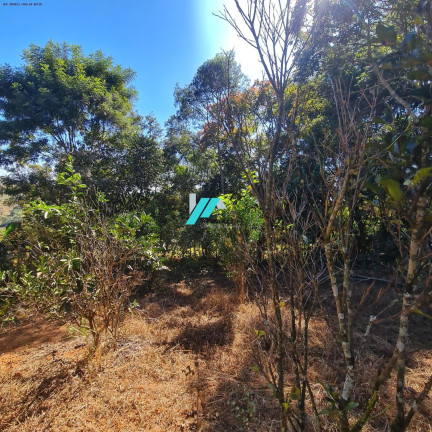 Imagem Fazenda à Venda, 1.000 m² em Santa Terezinha - Itatiaiuçu Imagem Fazenda à Venda, 1.000 m² em Santa Terezinha - Itatiaiuçu
