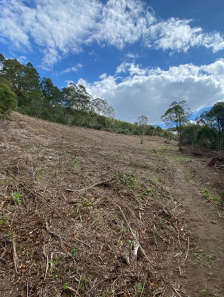 Imagem Imóvel à Venda, em Cunha Imagem Imóvel à Venda, em Cunha