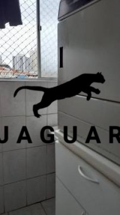 Imagem Imóvel com 1 Quarto à Venda, 44 m² em Vila Clementino - São Paulo
