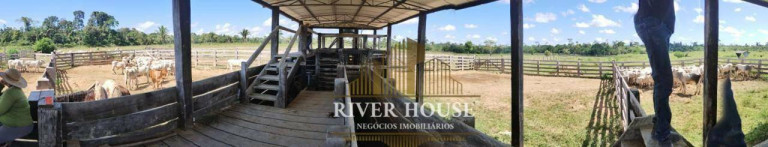 Imagem Fazenda à Venda, 6.872.800 m² em Centro - Colniza Imagem Fazenda à Venda, 6.872.800 m² em Centro - Colniza