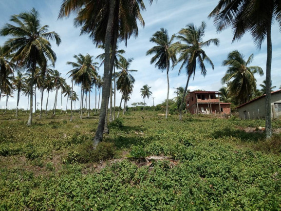 Imagem Terreno à Venda, 100.000 m² em Barra Do Itariri - Conde Imagem Terreno à Venda, 100.000 m² em Barra Do Itariri - Conde