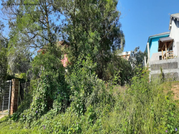 Terreno à Venda, 537 m² em Vale Verde - Nova Petrópolis