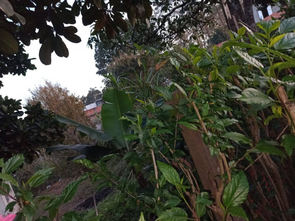 Imagem Terreno à Venda, 289 m² em Parelheiros - São Paulo Imagem Terreno à Venda, 289 m² em Parelheiros - São Paulo