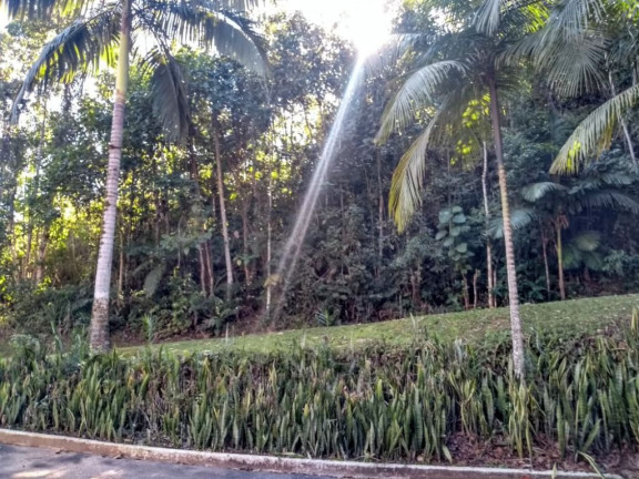 Imagem Terreno à Venda, 2.445 m² em Testo Central - Pomerode Imagem Terreno à Venda, 2.445 m² em Testo Central - Pomerode