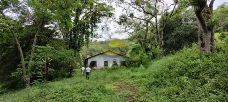 Imagem Terreno à Venda, 96.000 m² em Jardim Tomé - Embu Das Artes Imagem Terreno à Venda, 96.000 m² em Jardim Tomé - Embu Das Artes