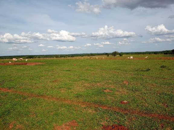 Imagem Fazenda à Venda, 2.027 m² em Rural - Campo Grande Imagem Fazenda à Venda, 2.027 m² em Rural - Campo Grande