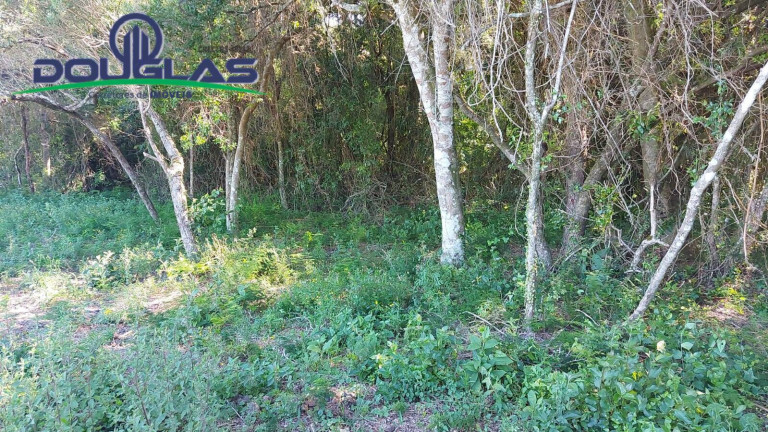 Imagem Terreno à Venda, 2.400 m² em Viamão Imagem Terreno à Venda, 2.400 m² em Viamão