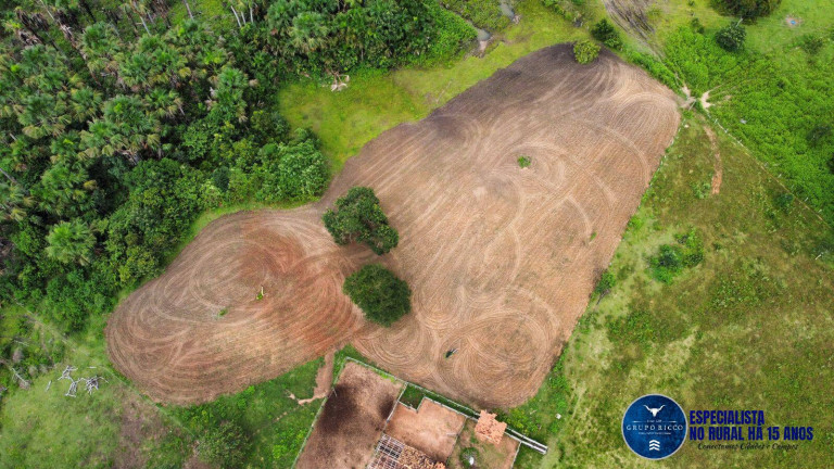 Fazenda à Venda, 170 m² em Zona Rural - Presidente Kennedy
