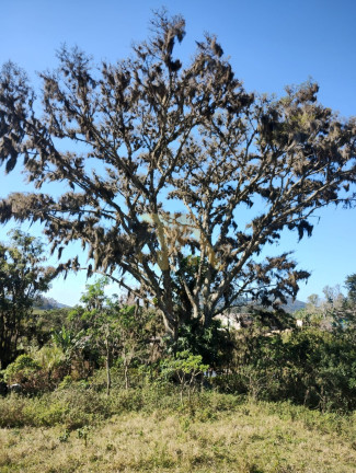 Imagem Terreno à Venda,  em Imaruí - Imaruí