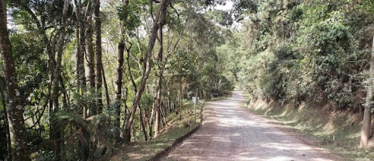 Imagem Terreno à Venda, 1.767 m² em Eugênio Lefevre - Santo Antônio Do Pinhal Imagem Terreno à Venda, 1.767 m² em Eugênio Lefevre - Santo Antônio Do Pinhal