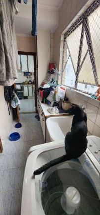 Imagem Apartamento com 3 Quartos à Venda, 137 m² em Ponta Da Praia - Santos