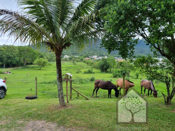 Imagem Imóvel com 3 Quartos à Venda, 12.272 m² em Vargem Grande - Florianópolis